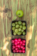 gooseberry with cherry and apple