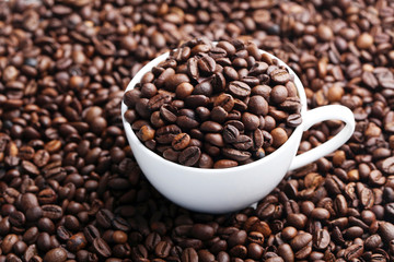 Brown roasted coffee beans in white cup