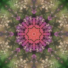 Abstract mandala picture