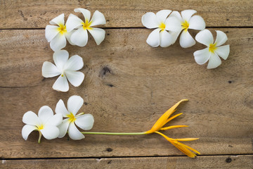 Top view old wooden background with white flowers