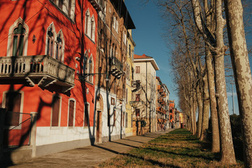 High trees' shadows lie on the colored Venice houses