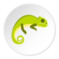 Green iguana icon. Flat illustration of green iguana vector icon for web