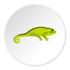 Green chameleon icon. Flat illustration of green chameleon vector icon for web