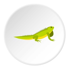 Iguana icon. Flat illustration of iguana vector icon for web