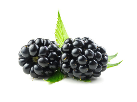 Blackberry. Ripe fresh blackberries isolated on white background with green leaves.