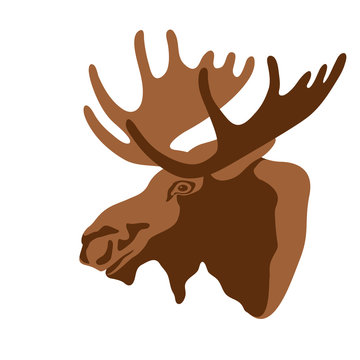 Moose head vector illustration style Flat