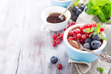 Delicious chocolate dessert with berries and mint served in ramekin. Copy space