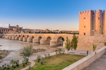 Fototapeta premium Roman bridge in Cordoba, Andalusia, southern Spain.