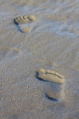 Spuren im Watt zwischen Cuxhaven und Neuwerk