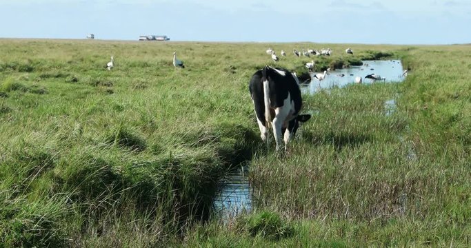 In the thurm cap of St. Peter-Ording in Germany