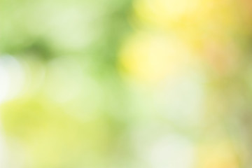 Obraz premium bokeh blur