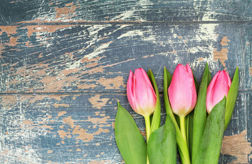 Fototapeta na wymiar Three pink tulips on wooden surface with copy space 