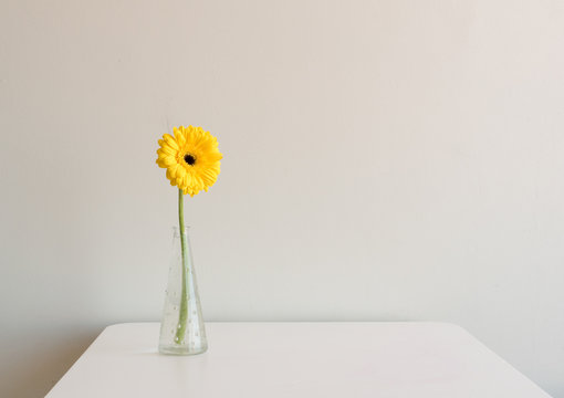 Single yellow gerbera in small glass vase on white table against neutral background