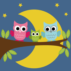 Owls family sitting on a branch in the night on a moon background