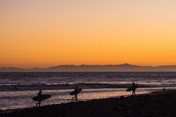 Sunset Surfers California Ventura Beach