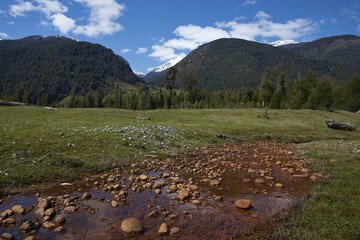 Fototapeta premium Stream tainted orange by naturally occurring oxides and bacteria, flowing across a meadow towards the River Frio on the Carretera Austral road in the Aysen Region of southern Chile.
