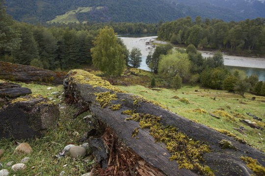 Confluence of the rivers Frio and Palena along the Carretera Austral in Chilean Patagonia.