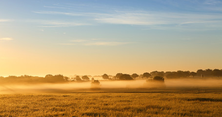 Misty sunrise on farmland. Farm pasture field covered with layers of fog  © GalinaSt