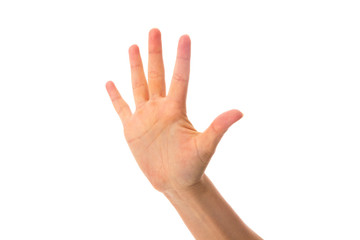 Woman's hand showing five fingers