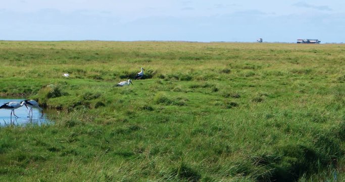 In the thurm cap of St. Peter-Ording in Germany