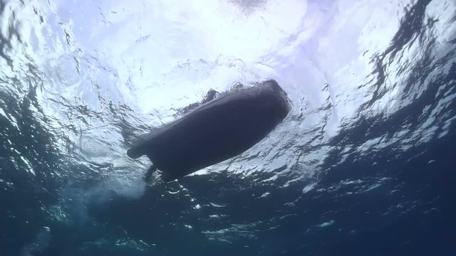 A inflatable boat (zodiac) from below with divers jumping into the sea.