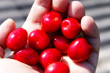Red Cherries