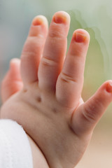 Close up detail of a baby's right hand pressing against a window

