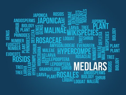 Medlars