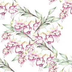 Seamless pattern with fuchsia. Hand draw watercolor illustration