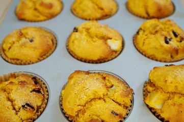 Tray of homemade vegan pumpkin muffins with pears and dried cherries