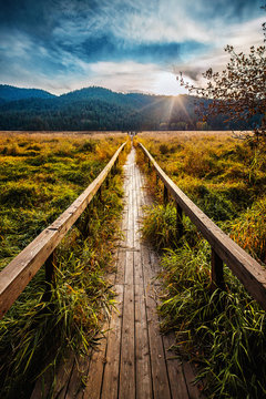 Autumn boardwalk in Liberty Lake, Washington