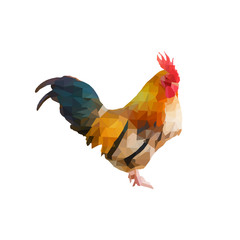 polygon chicken