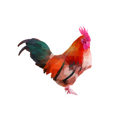 polygon chicken