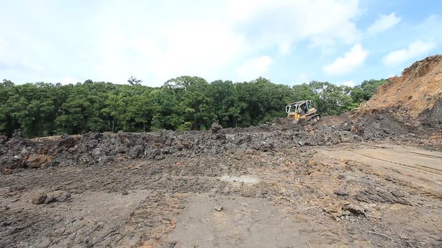 Deforestation. Environmental destruction. Excavator construction work. Clearing of rain forest for oil palm plantations.