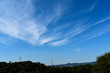 秋の雲