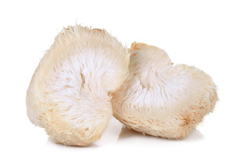 Lion mane mushroom isolated on white background