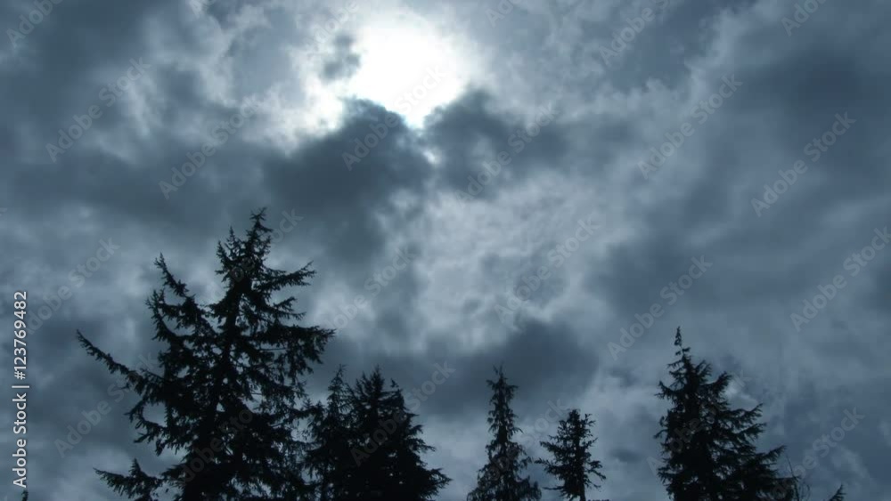 Wall mural storm clouds passing over stand alone evergreen trees blowing in the wind.