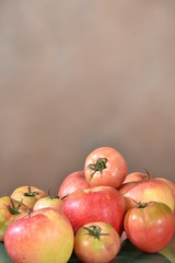 リンゴとトマト