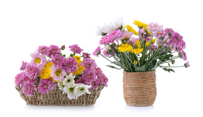 chrysanthemums in basket on white background