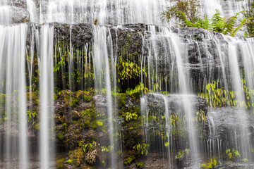 Flowing water over rocks and ferns cascade closeup. Tasmania, Australia.