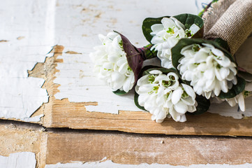 Snowdrops on rustic table