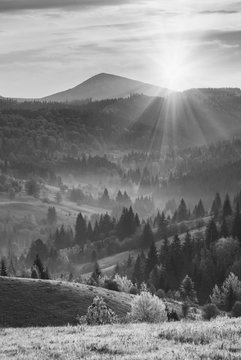 Fototapeta Carpathian morning. Monochrome