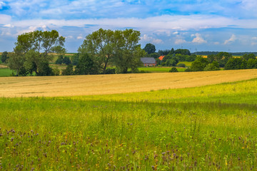Auf dem Lande / Felder bei Lüben, zwischen Göhrde und Oldendorf, im Landkreis Lüneburg (Niedersachsen). Aufgenommen am 5. Juli 2016.