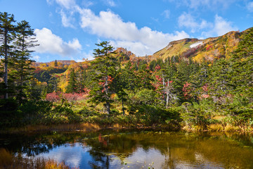 大雪高原温泉 沼めぐり 土俵沼からの眺め