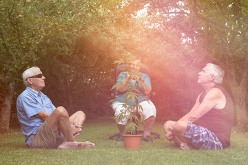 Seniors relaxing with Cannabis plant outdoors