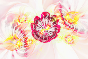 Abstract transparent flowers on white background. Creative fractal design in rose, red and yellow colors.