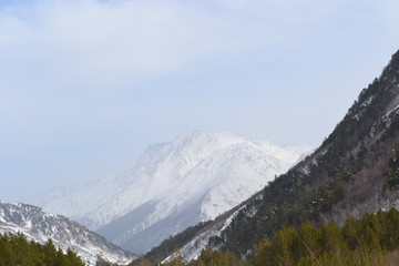 Obraz premium Beautiful winter landscape with mountains and silhouettes of the trees.