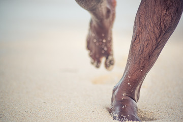 Runner with bare foot on a sandy beach