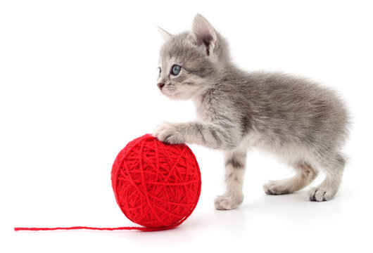 Kitten with ball of yarn.