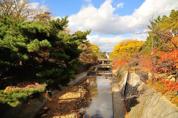 夙川公園の紅葉